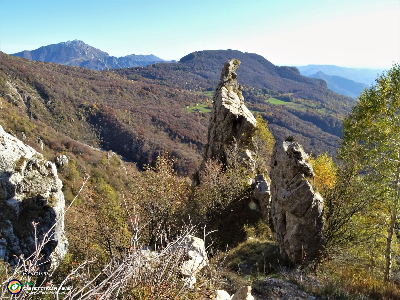 77 Guglie e pinnacoli solitari nel bosco.JPG